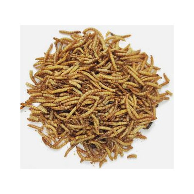 Moučný červ sušený 1000 ml