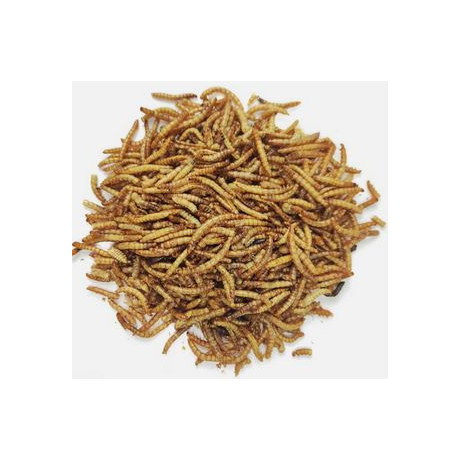 Moučný červ sušený 1000 ml