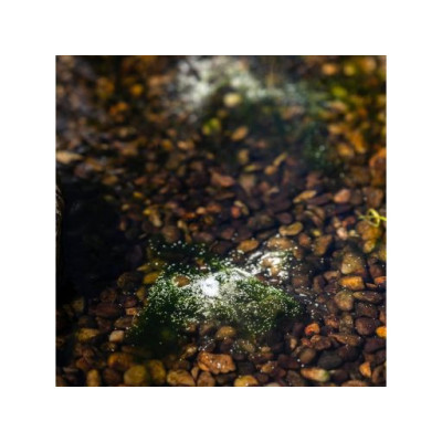 Home Pond Attack Pond 1200 g