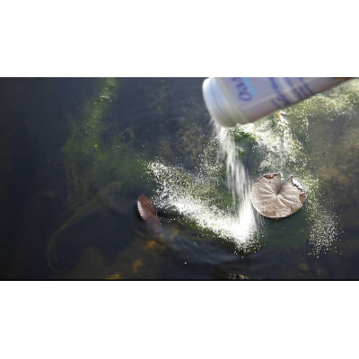 AquaActiv AlGo Direct 5 l