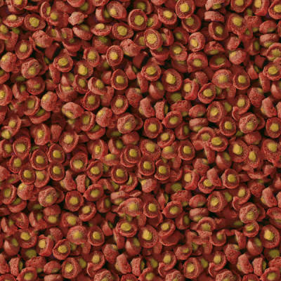 SERA KOI Professional krmivo Jaro/podzim