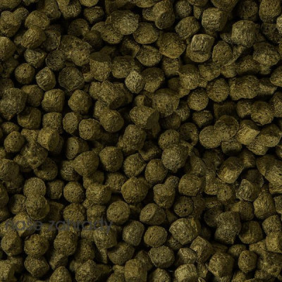 Sera Koi Color Medium 3,8 L