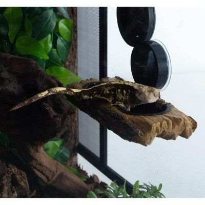 Rampa pro želvy a stromové krmítko 2v1