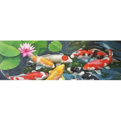 Grower 5l růstové krmení pro okrasné ryby