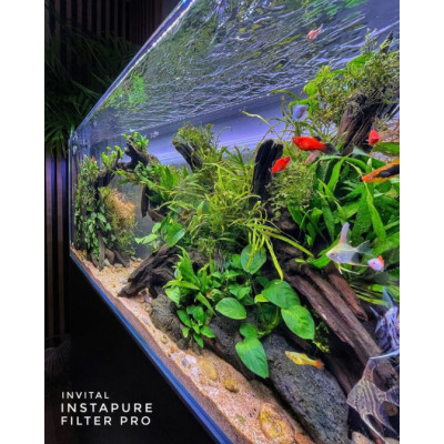 INVITAL FilterPRO 1000ml