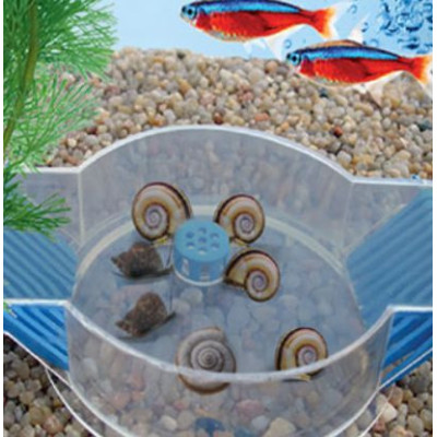 Snail Trap - past na šneky v akváriu