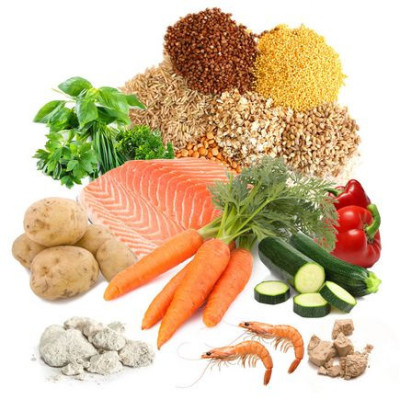 Krmení pro želvy vodní Tartafood 1,2l