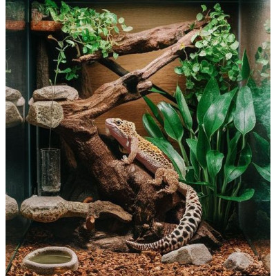 substrát do tropického terária Coco Husk