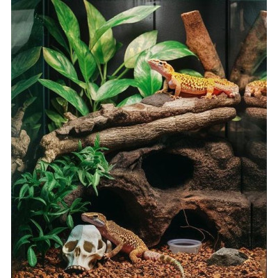 terarijní substrát Coco Husk