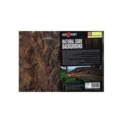 Korkové pozadí do terária