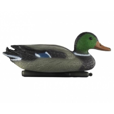 Velda - Plovoucí divoký kačer s oranžovým zobákem