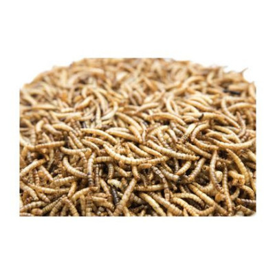 Mealworms 1000 ml - sušení mouční červi