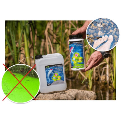 Home Pond Bacter Pond 100 g