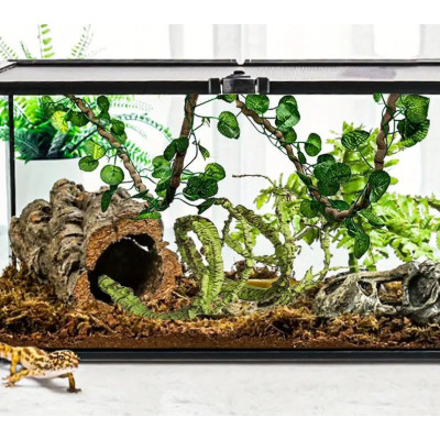 terarijní liána ReptiZoo