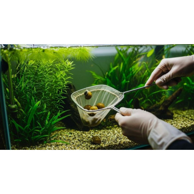 Prodac Snail trap - past na šneky