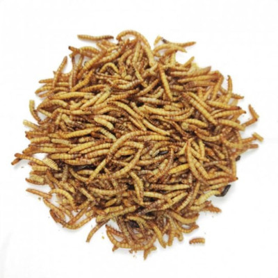 Mealworms 1000 ml - sušení mouční červi