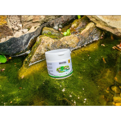 PondShield 100g