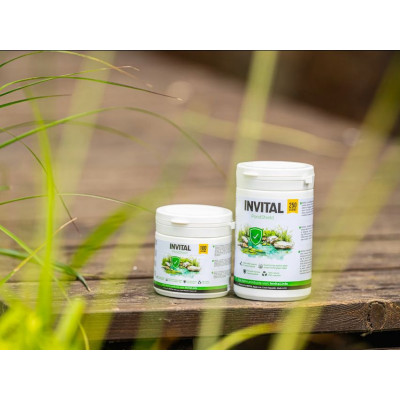 odstranění řas PondShield 100g