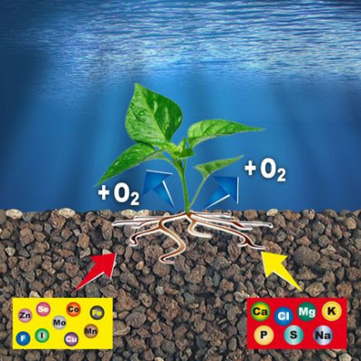 Prodac Fertil Plant, kbelík 3.2kg