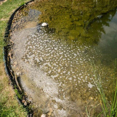 Brilliant Pond 5l vločkovač do jezírka