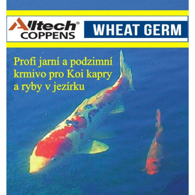 Wheat Germ profi 5 l 6 mm
