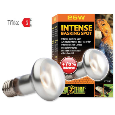 Intense Basking Spot 25W