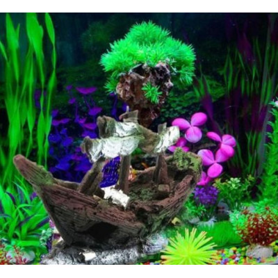 vrak lodi v akváriu