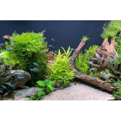 písek do akvária bílý