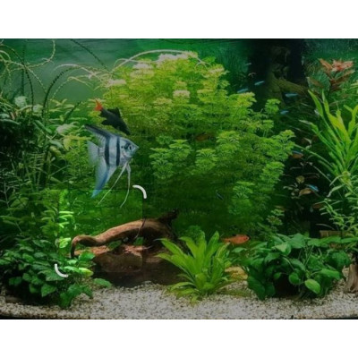 písek bílý do akvária 3 kg