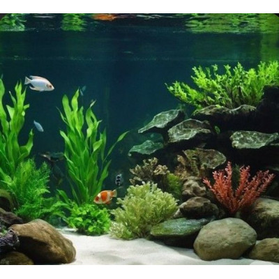 jemný písek do akvária bílý 3 kg