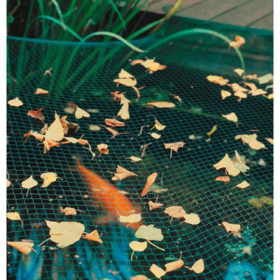 Síť na jezírko Aqua Nova