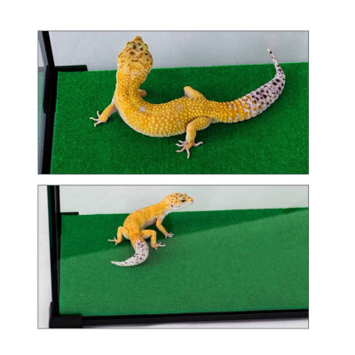 Absorpční koberec 57,5x43cm