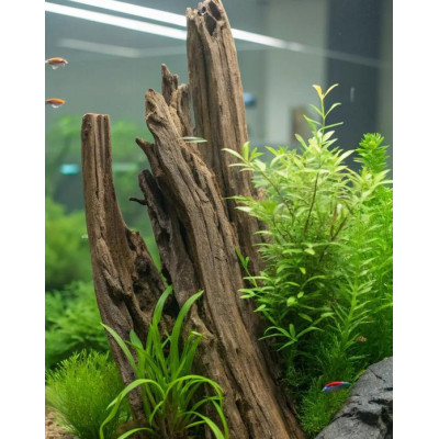 Stěrka na řasy s houbou 48 cm