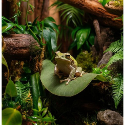 Pozadí Repti Planet Coco Pad 100x100cm