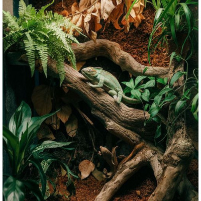 pozadi do terária coco-pad 100x50cm