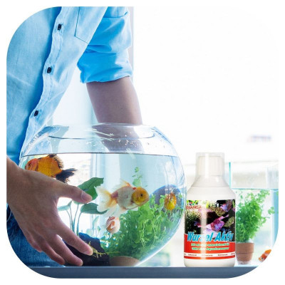 Femanga Algen Stop General 500 ml