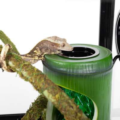 Napájecí fontána ReptiZoo do terária