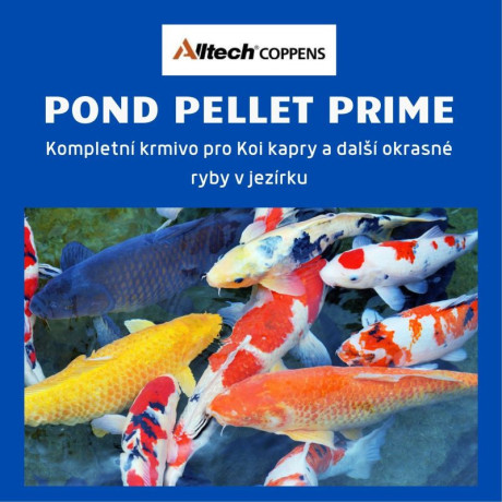 Profi Prime 5l krmení pro ryby v rybníku