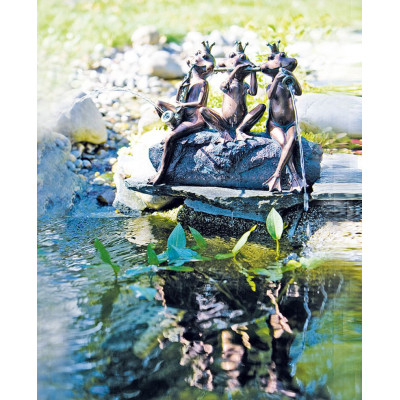 Chrlič do jezírka Źabí kapela