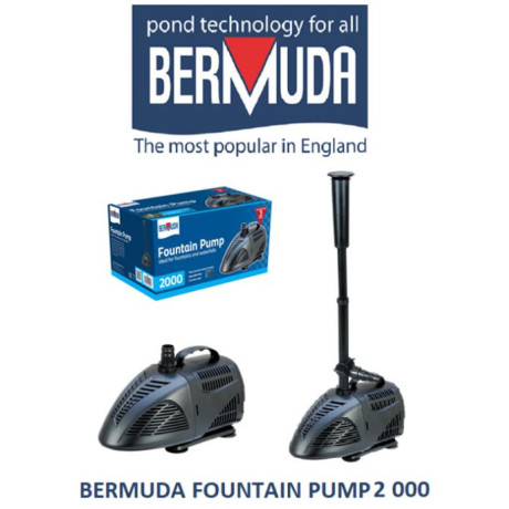 Bermuda Fountain Pump 2000