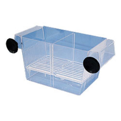 porodnička pro rybičky