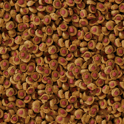 granule pro ryby Sera 1000g