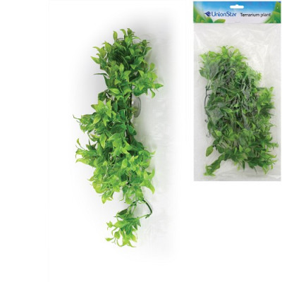 rostlina do terária 40cm