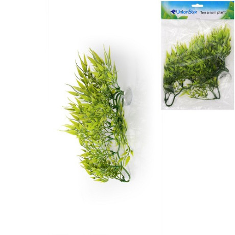 unionstar-rostlina-terarijni-m