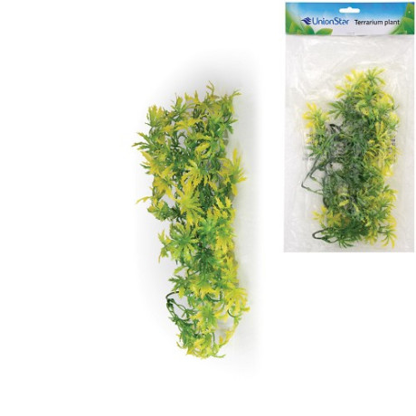 uh-rostlina-do-terária-m