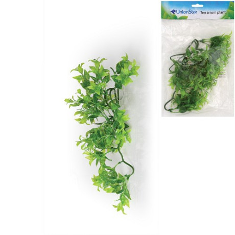 rostlina do terária UnionStar