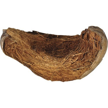 slupka z kokosového ořechu