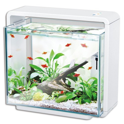 Biotop Nature E-40 white