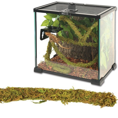 ReptiZoo Jungle Vines 1,5x200cm