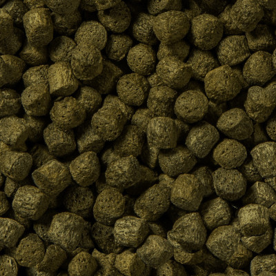 krmivo pro ryby Koi Color